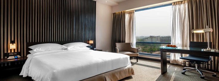 820/Hyatt - Raipur 14.jpg